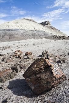 Petrified Forest National Park Stock Photo Petrified Forest National Park Stock Photo