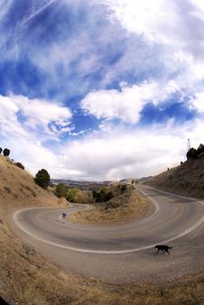 Curve In Road Royalty Free Stock Photography Curve In Road Royalty Free Stock Photography