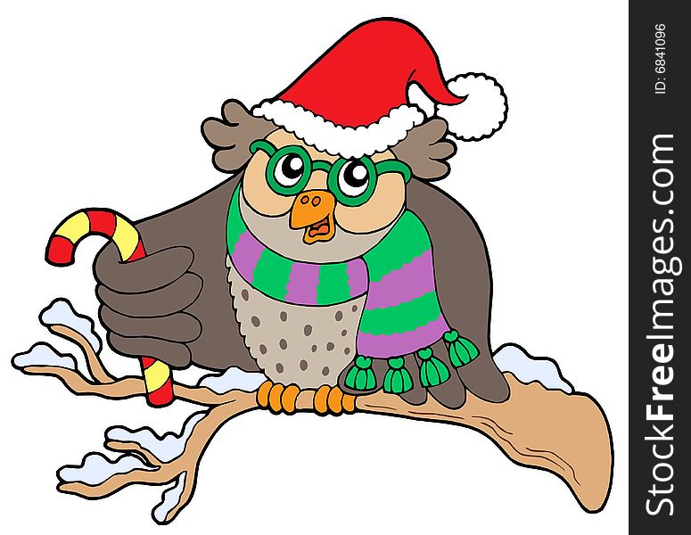 Owl in Christmas outfit - vector illustration.