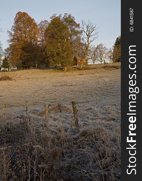 Sunrise And Frost