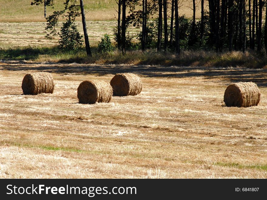 Hay field in summer somewhere in Polish village
