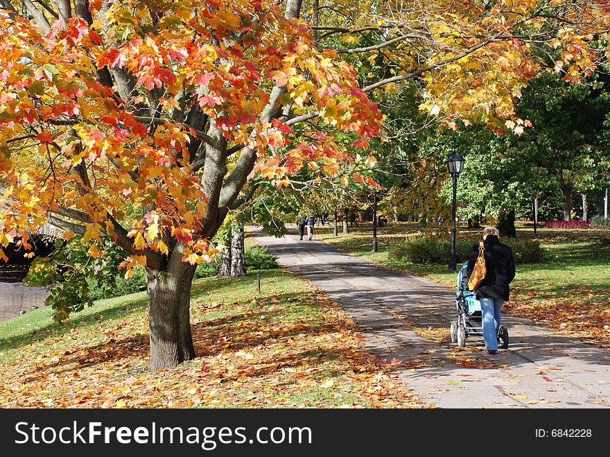 Beautiful autumn avenue in park