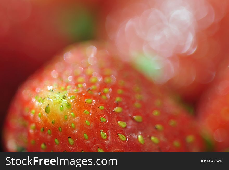 Strawberry Bokeh Forever