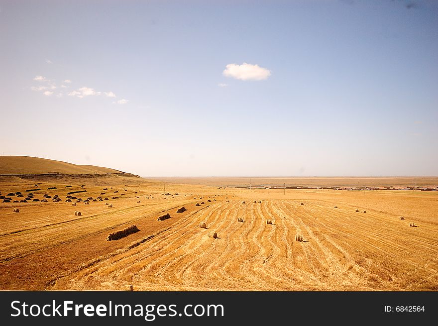 Haystack around Qinghai Lake East Road, China