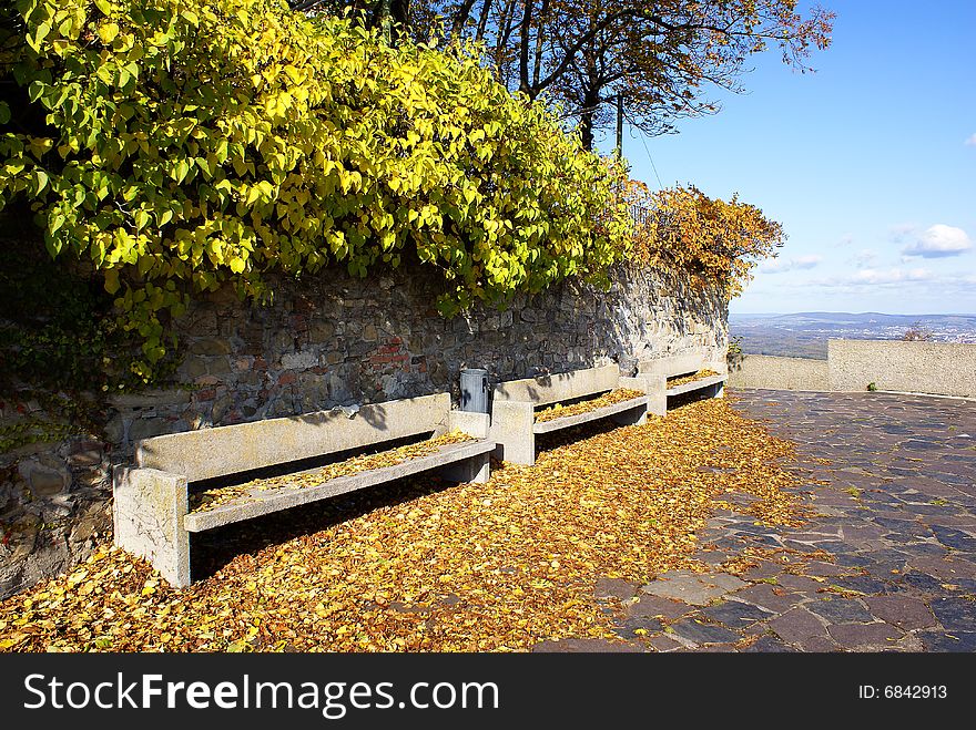 Benches In Autumn