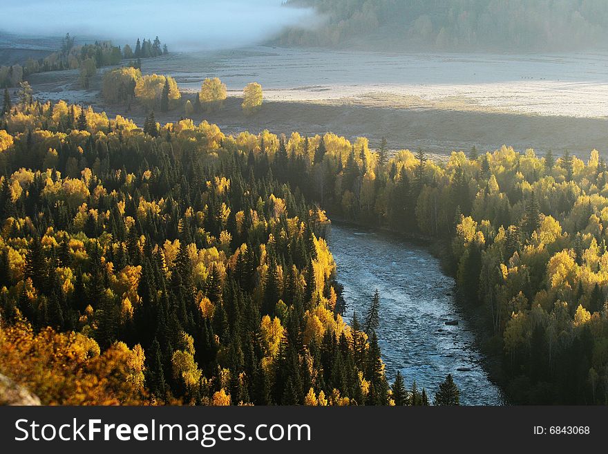 A river is surrounded by the birch forest on the mountain. Taken from Hemu, a small and beautiful village in Xinjiang, China. A river is surrounded by the birch forest on the mountain. Taken from Hemu, a small and beautiful village in Xinjiang, China.