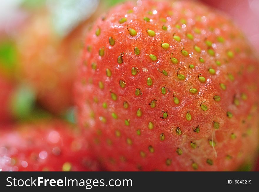 A macro image of a local Philippine strawberry. A macro image of a local Philippine strawberry.