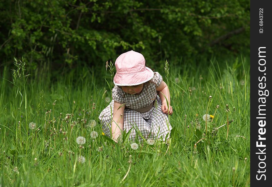 My daughter (age 2) picking flowers in a meadow. My daughter (age 2) picking flowers in a meadow.