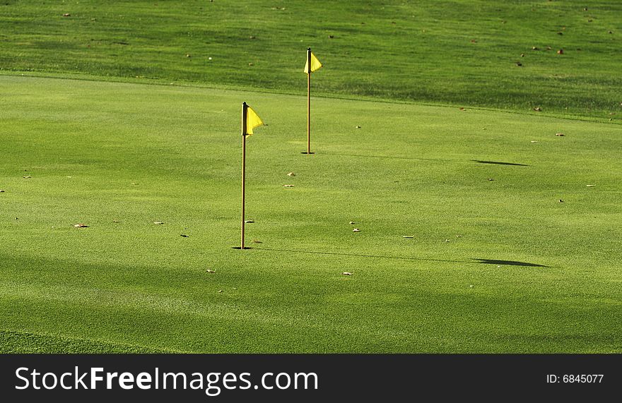 Green grass of the golf course