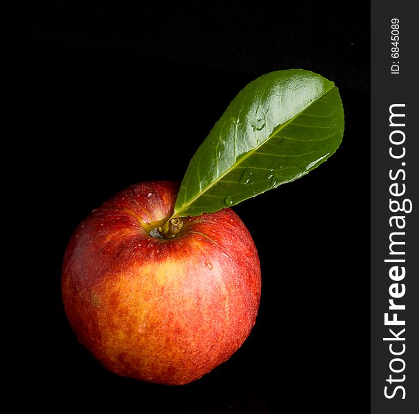 Wet red apple with green leaf on black background. Wet red apple with green leaf on black background