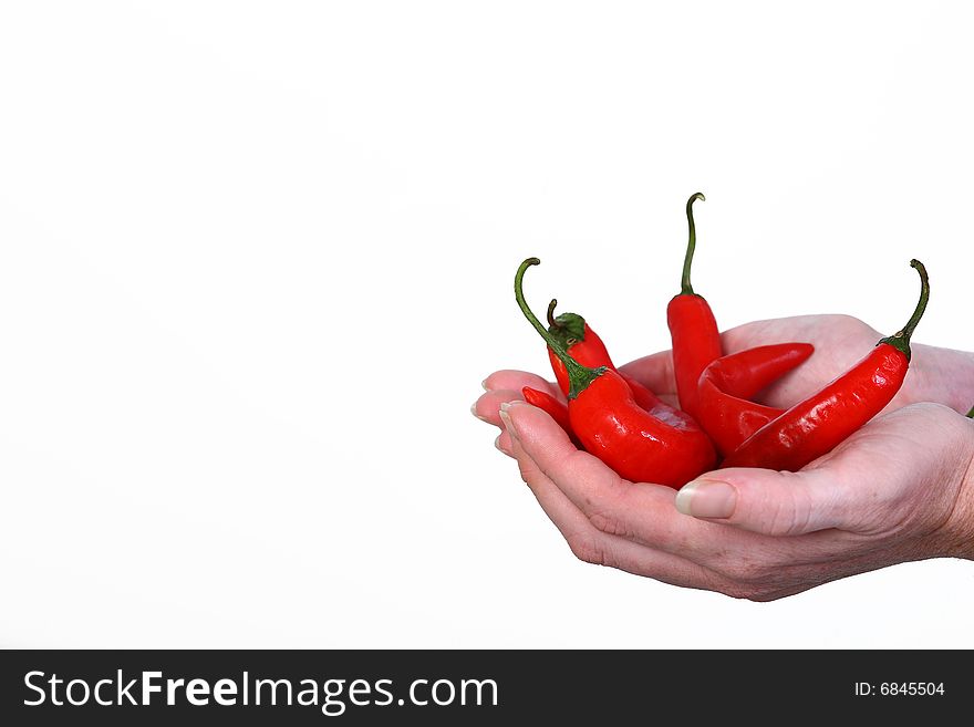 Hands holding a stack of chilli peppers. Hands holding a stack of chilli peppers