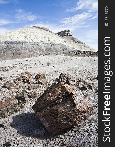 Petrified Forest National Park