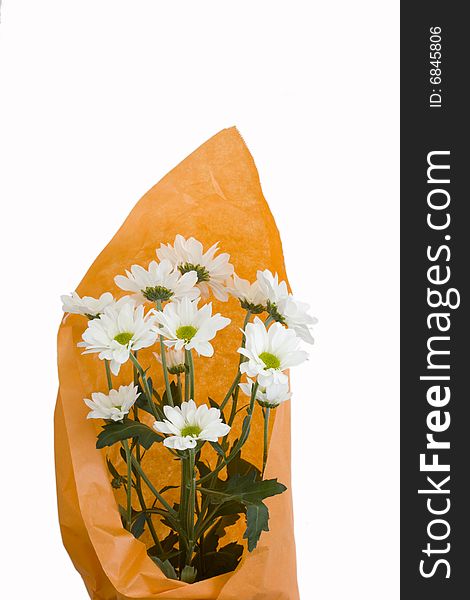 Bouquet of white chrysanthemum in orange wrapping