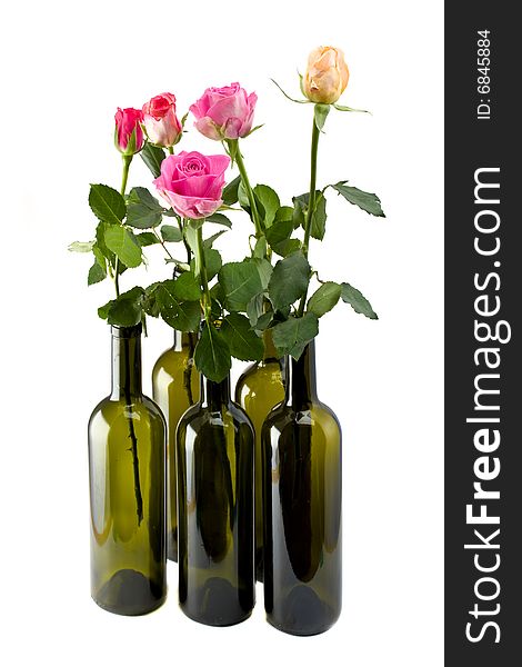 Colorful roses in six empty wine bottles isolated on white background