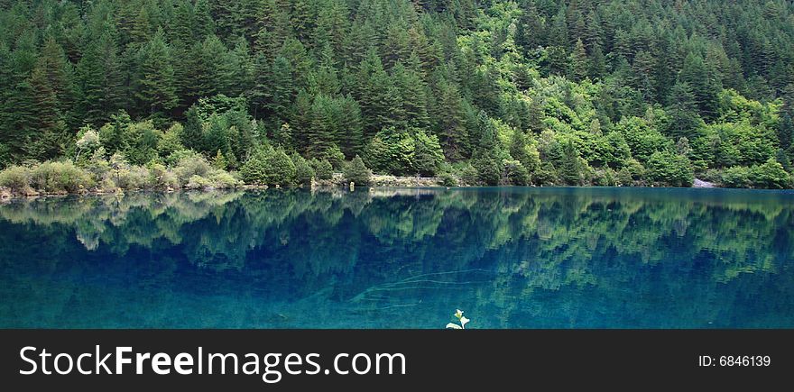 Jiuzhaigou is one of the most beautiful place in the norhtwest of sichuan, China that is famous of its water. Jiuzhaigou is one of the most beautiful place in the norhtwest of sichuan, China that is famous of its water.