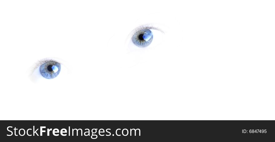 Isolated blue eys with white background. Isolated blue eys with white background