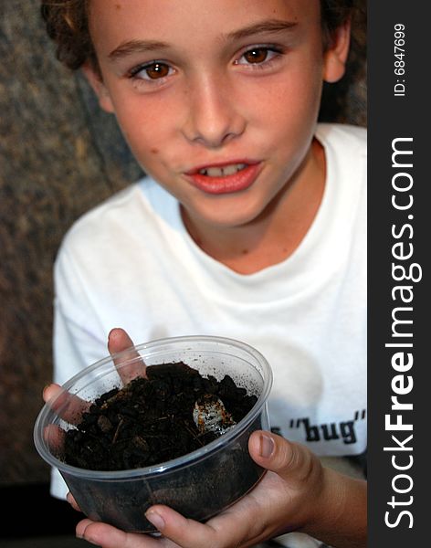 Boy holding a grub of a chelorrhina polyphemus beetle, will coccoon and turn into adult in about 14 months. Boy holding a grub of a chelorrhina polyphemus beetle, will coccoon and turn into adult in about 14 months