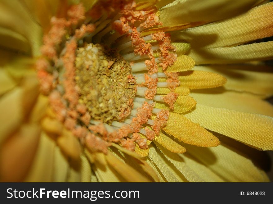 Plastic Sunflower