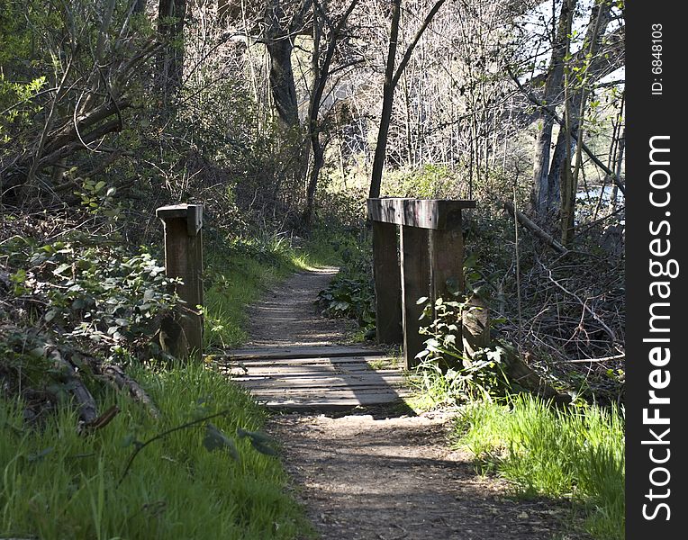 Wooden bridge in trees with path