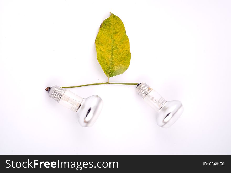 Autumn leaves with spotlight lamp on slim branch. Autumn leaves with spotlight lamp on slim branch