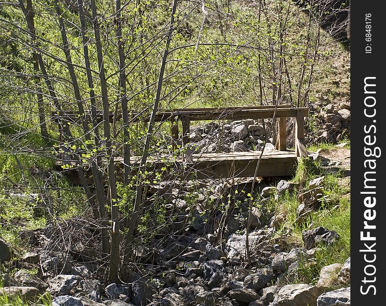 Wooden bridge across creek with trees in spring