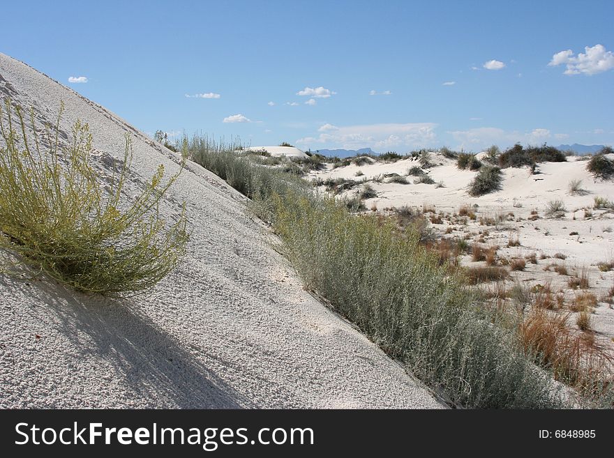 Steep hill with bushes and foliage at White Sands National Park.