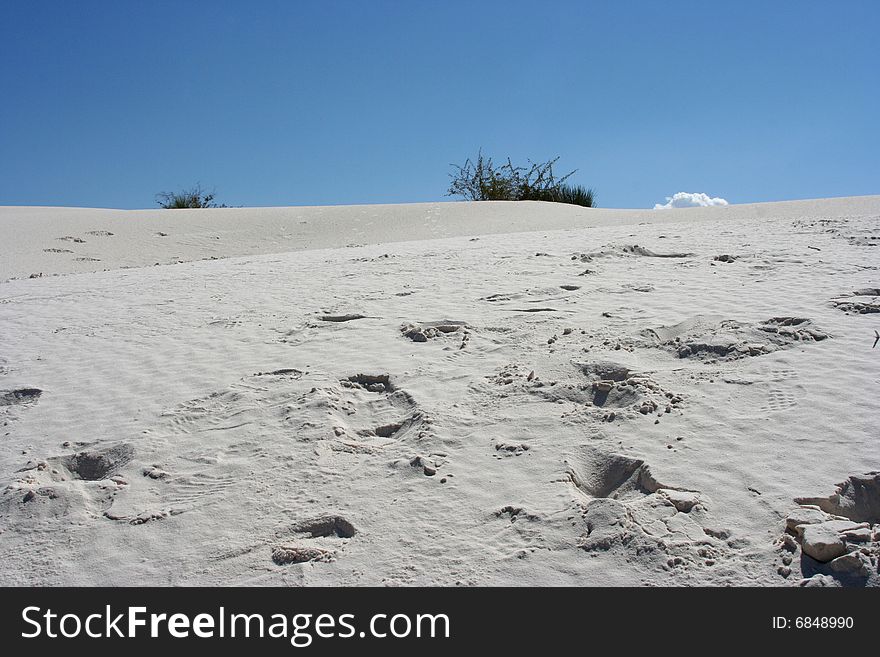 Tracks in the sand at the top of a hill at White Sands National Park. Tracks in the sand at the top of a hill at White Sands National Park.