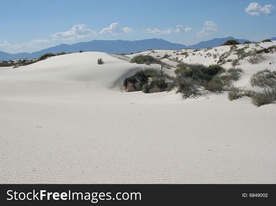 Hill of sand with desert foliage at White Sands National Monument in New Mexico.