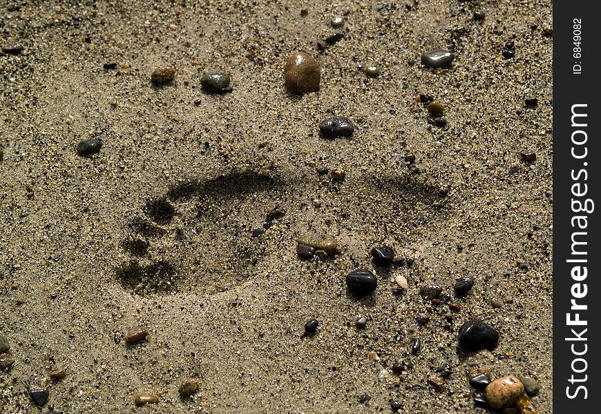 Foot imprint on sandy beach close-up shot. Foot imprint on sandy beach close-up shot
