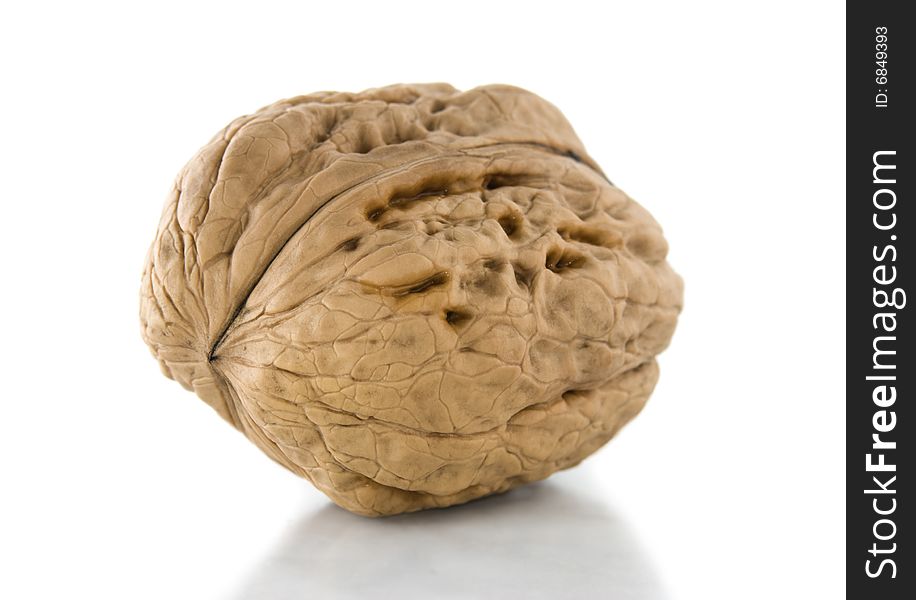 Macro walnut, isolated on white