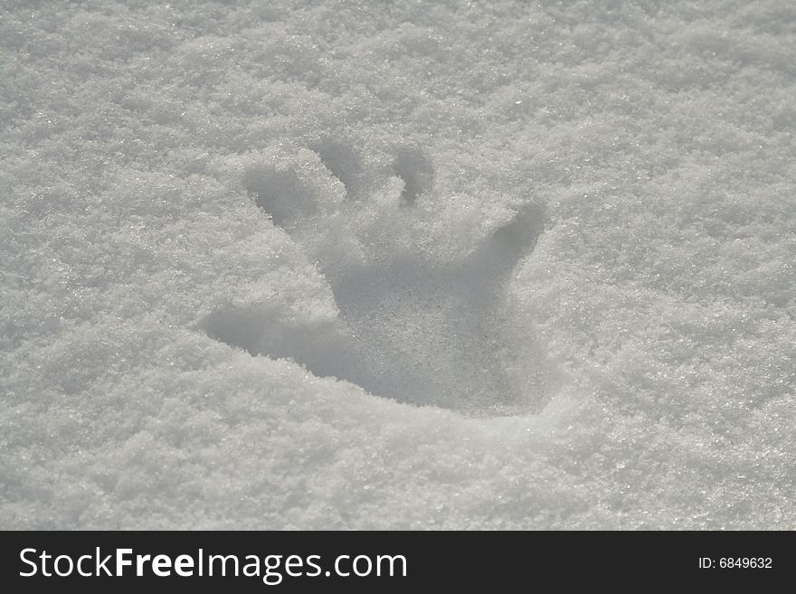 Image of a handprint in snow. Image of a handprint in snow.