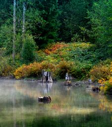 Misty Lagoon Stock Photography Misty Lagoon Stock Photography