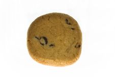 Choc Chip Cookie/Biscuit Royalty Free Stock Photos