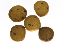 Choc Chip Cookies/Biscuits Royalty Free Stock Photos