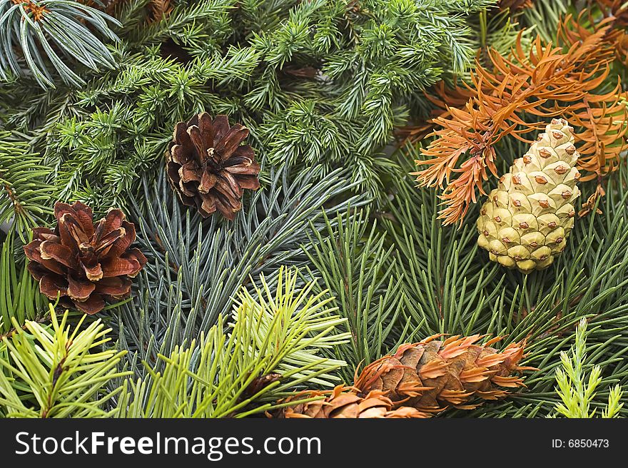 Christmas background made with green branches of pines