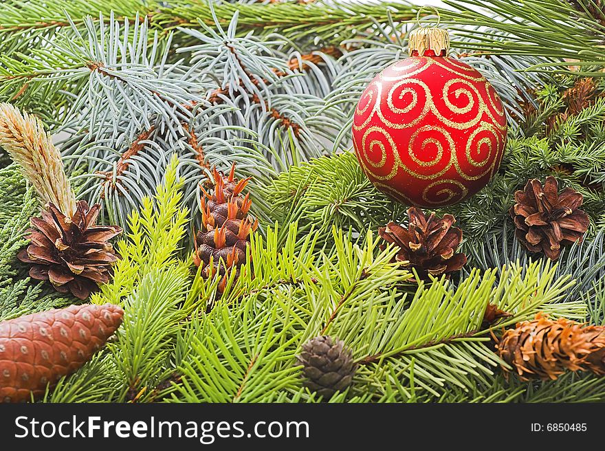 Christmas background made with green branches of pines