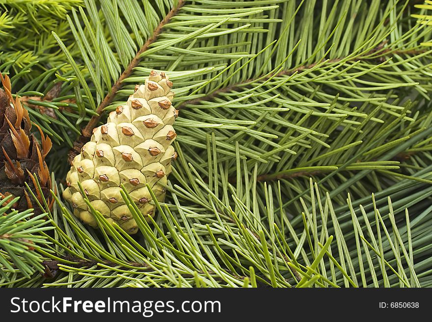 Christmas ornament - background of green Christmas tree. Christmas ornament - background of green Christmas tree