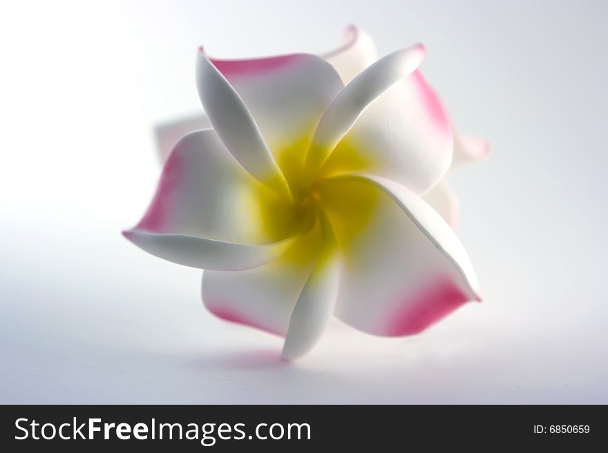 Artificial Hawaii flower on white background. Artificial Hawaii flower on white background
