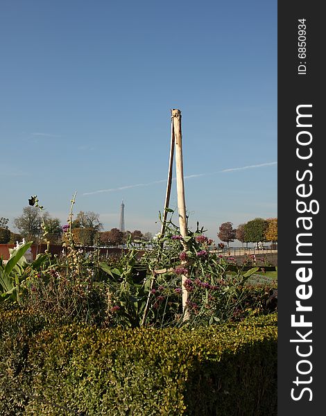 Tuilleries Gardens with Eiffel tower in background