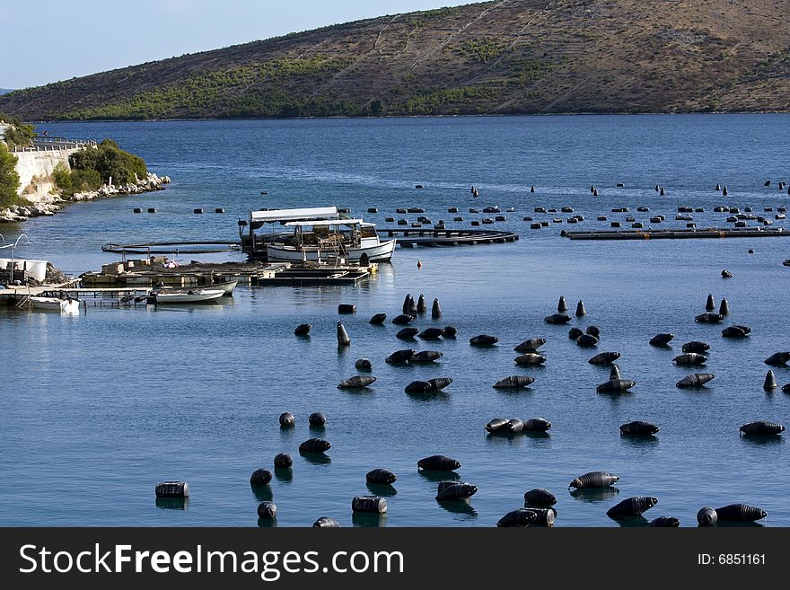 Mussels fishing bay full of floating container