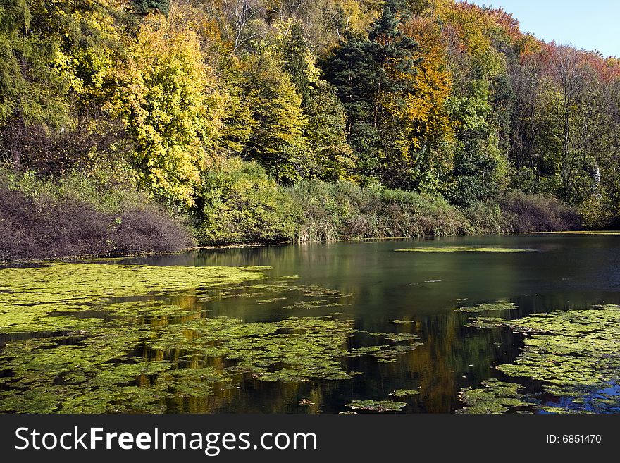 Plenty of colors, sunny autumn at the lake