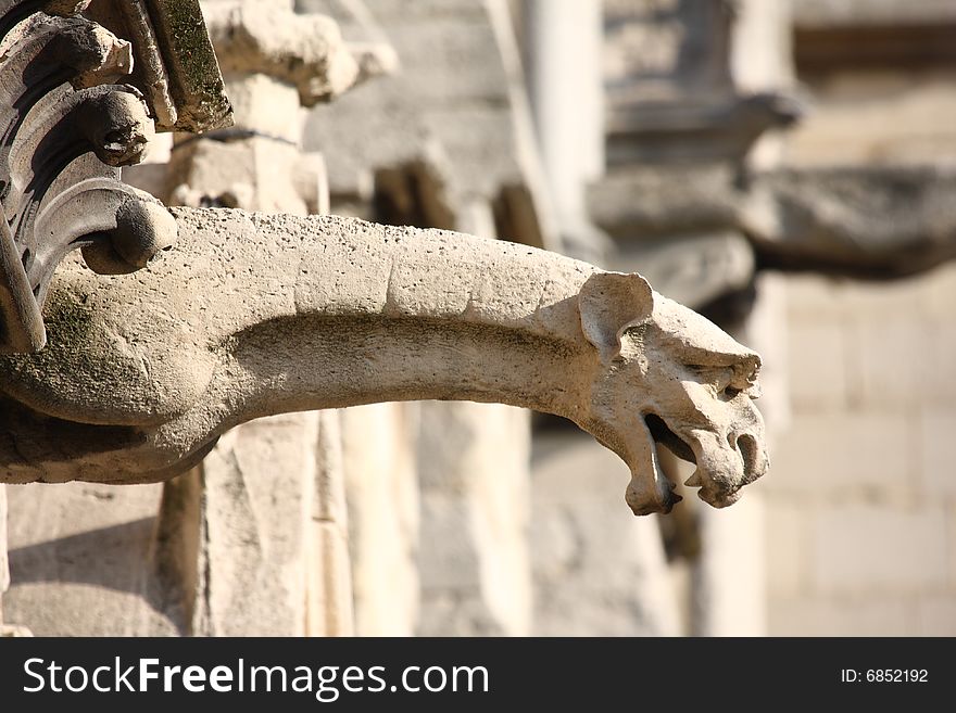 The Gargoyles of Notre Dame Cathedral, Paris