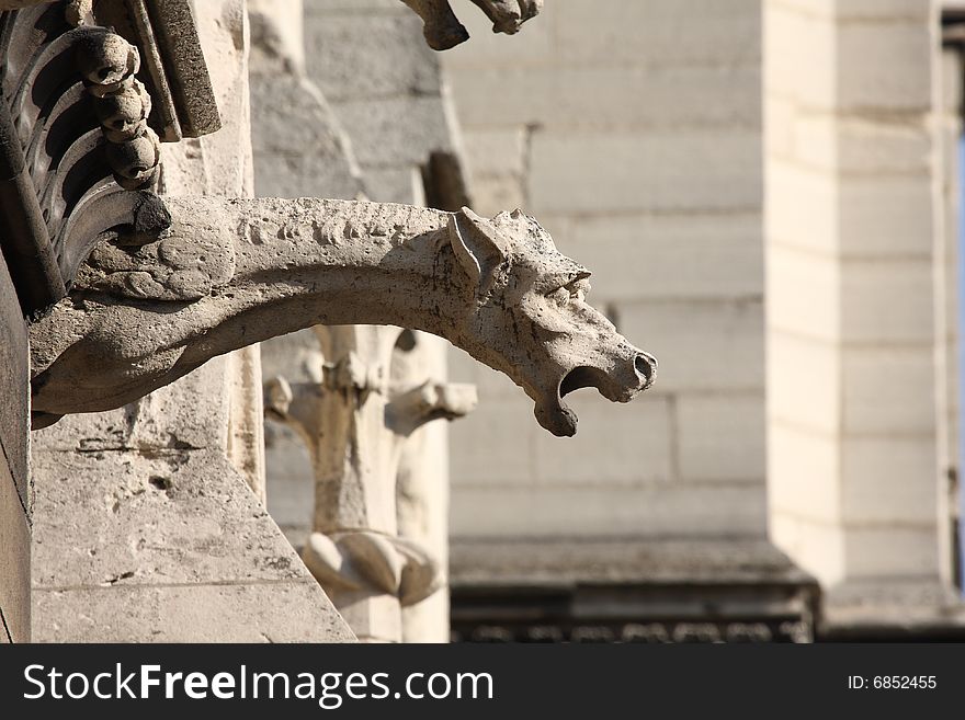 The Gargoyles of Notre Dame Cathedral, Paris