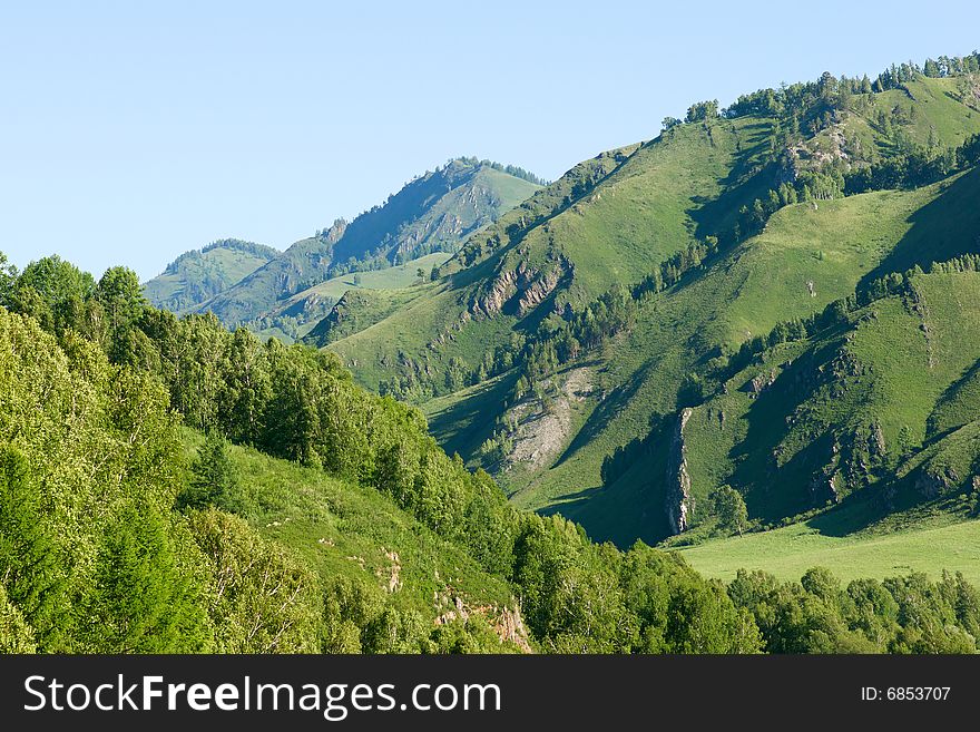 Mountains with green forest on blue sky. Mountains with green forest on blue sky