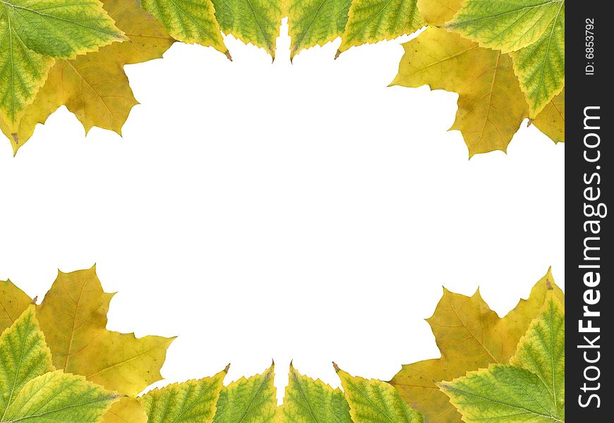 Leaves frame