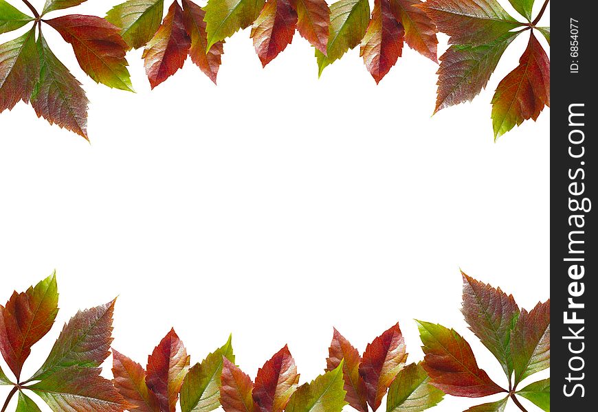 Frame Of Autumn Leaves