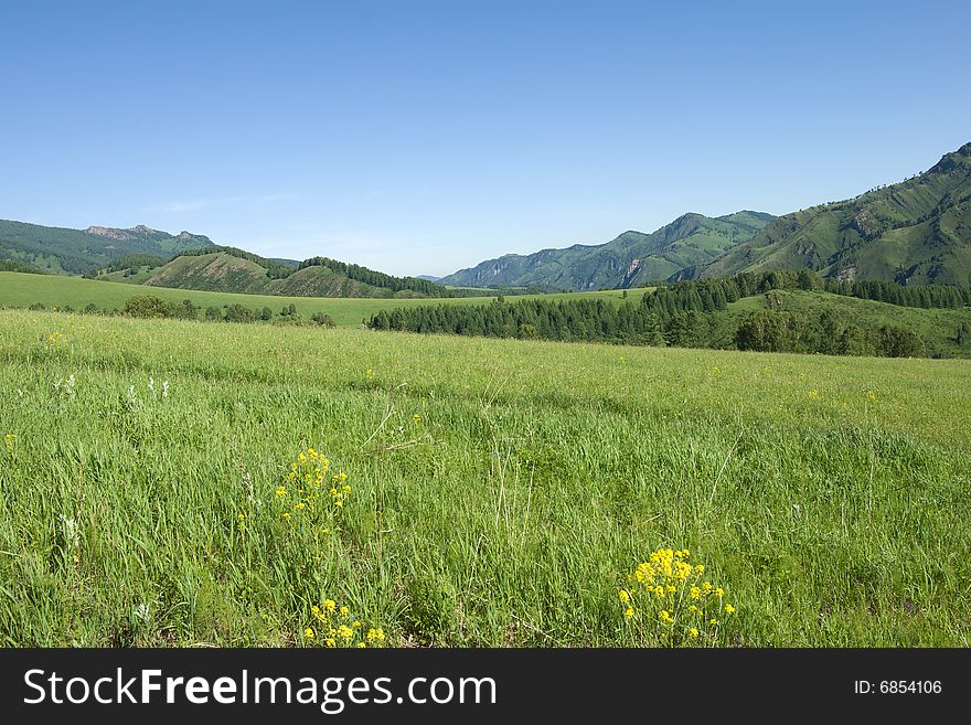 Mountains with green forest on blue sky. Mountains with green forest on blue sky