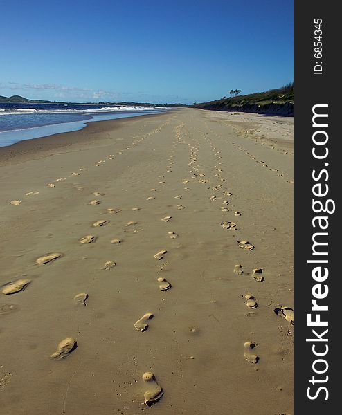 Footprints along the sand at Agnes Water , Australia. Footprints along the sand at Agnes Water , Australia