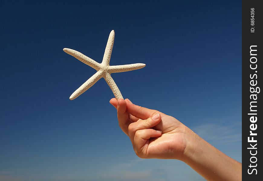 Starfish in my hand and blue sky