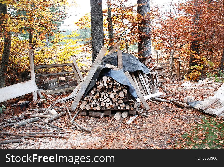 Campfire closeup cottage cut detail end fire firewood log logs rings saw split wood. Campfire closeup cottage cut detail end fire firewood log logs rings saw split wood